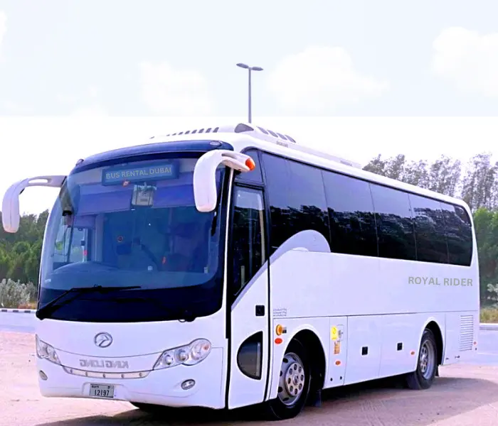 Service 7